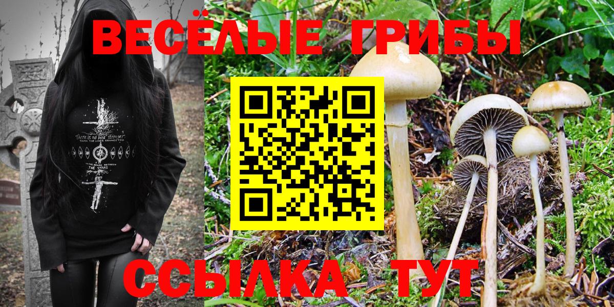 Ефремов  Галлюциногенные грибы MAGIC MUSHROOMS  Вход с VPN 